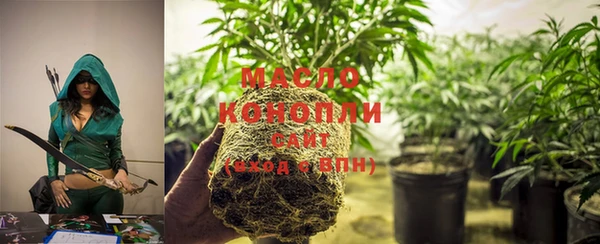 молекула духа Заволжье