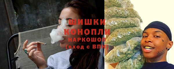 молекула духа Заволжье