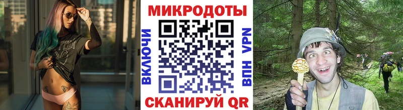 Псилоцибиновые грибы Psilocybe  Бугуруслан 