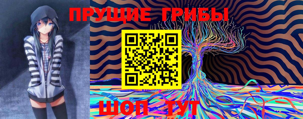 Псилоцибиновые грибы Psilocybe  Псилоцибиновые грибы мухоморы  магазин продажи   Бугуруслан 