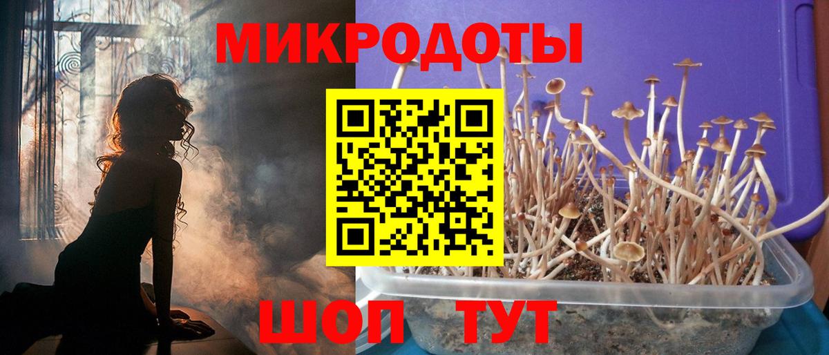 Псилоцибиновые грибы прущие грибы Бугуруслан