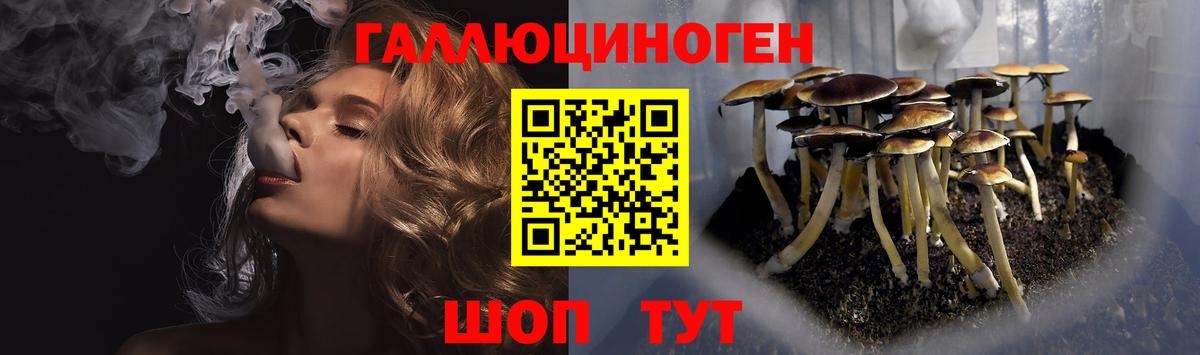 Галлюциногенные грибы прущие грибы  Псилоцибиновые грибы MAGIC MUSHROOMS  Бугуруслан  Вход с VPN 
